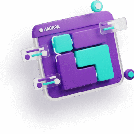 Software Customization